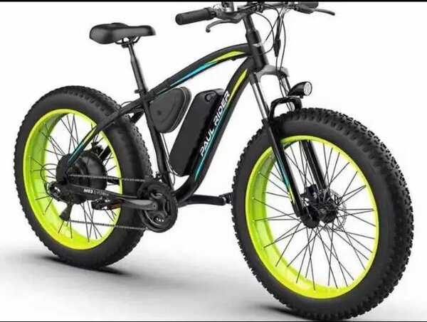 Vélo adulte et enfant disponib