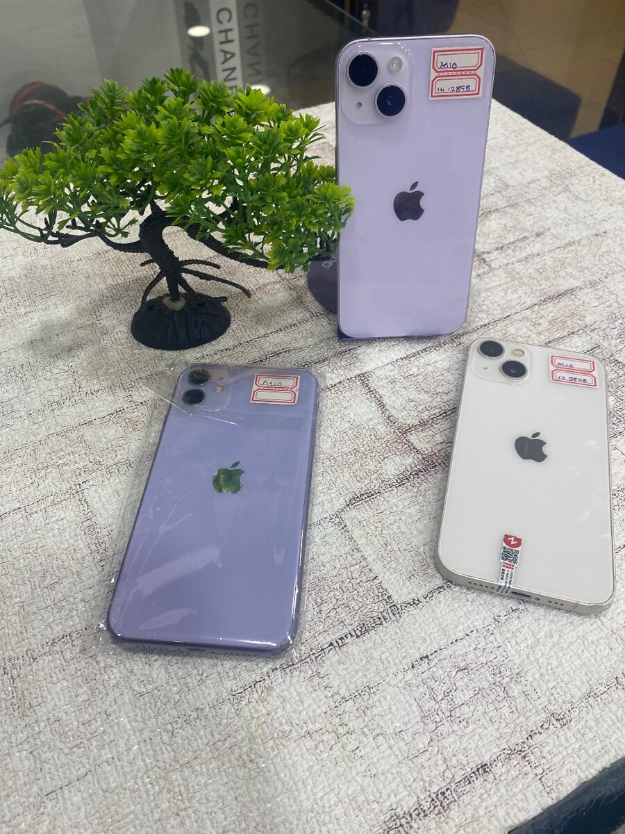 iPhone 14