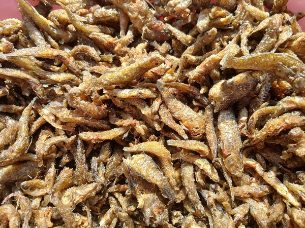 Fresh Tilapia