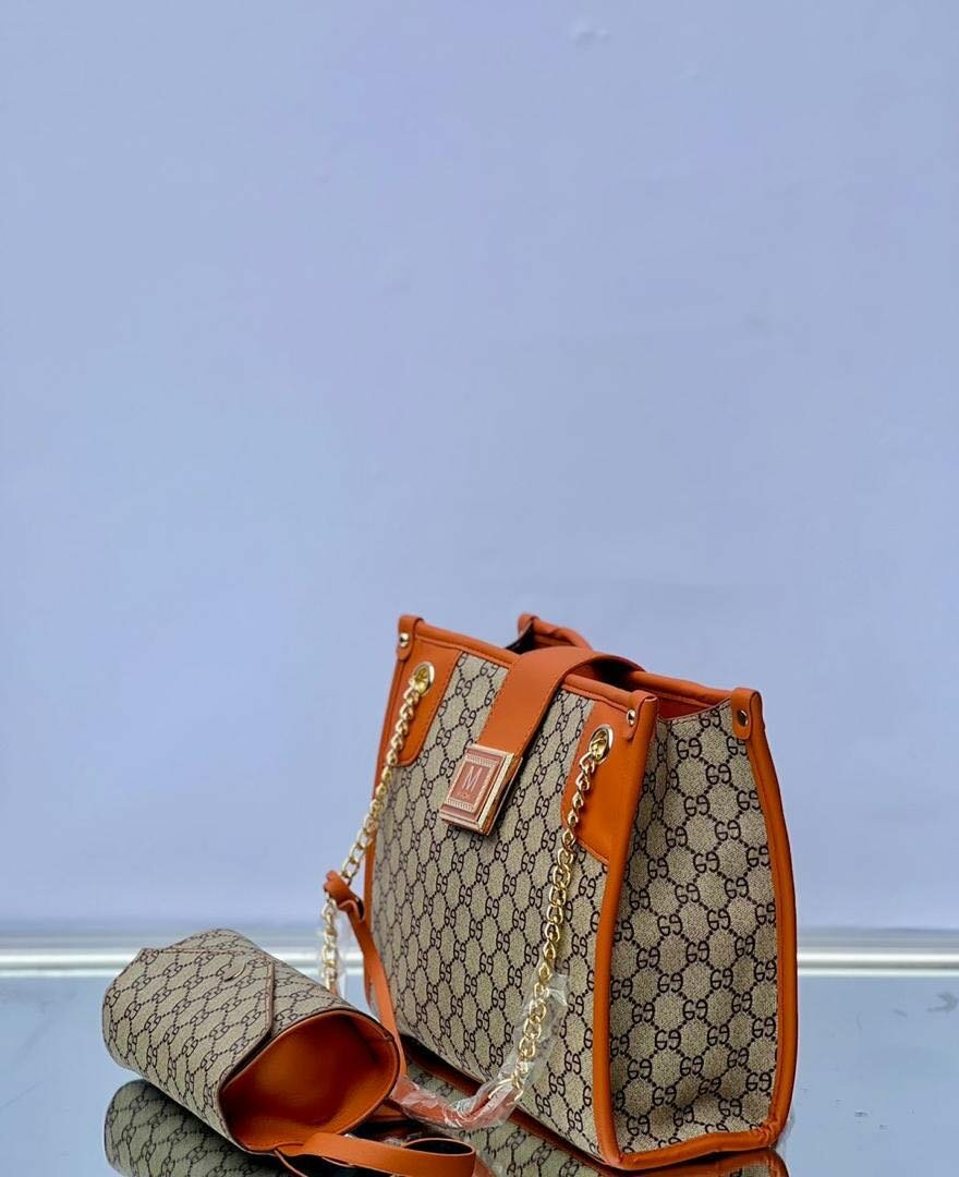 2 in 1 gucci bag