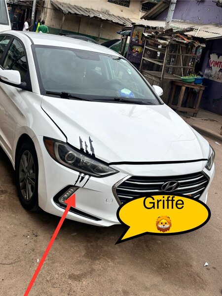 Autocollant griffe