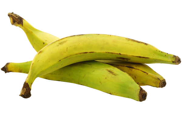 Bananes plantains fraîches