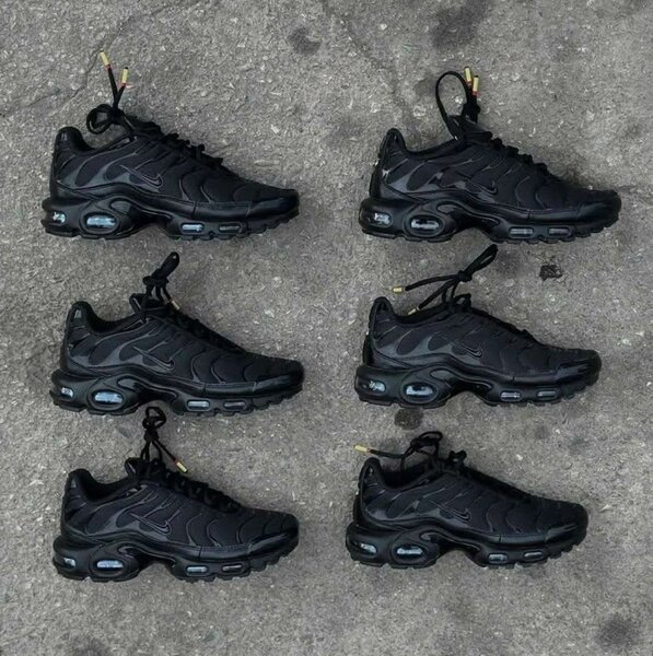 TN nouvelles sortie