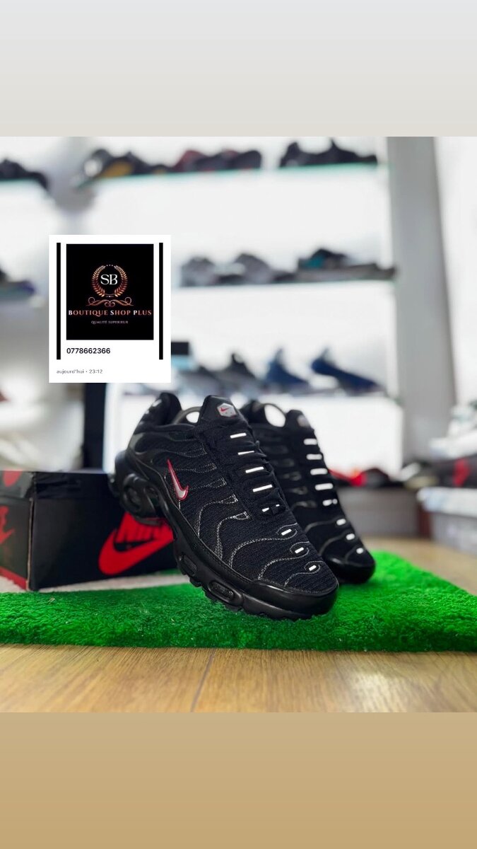 Basket Nike tn Authentique avec sa boîte