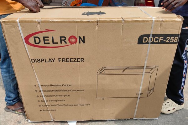 Delron display freezer 258L