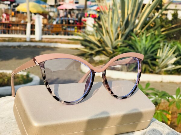 Optical frame