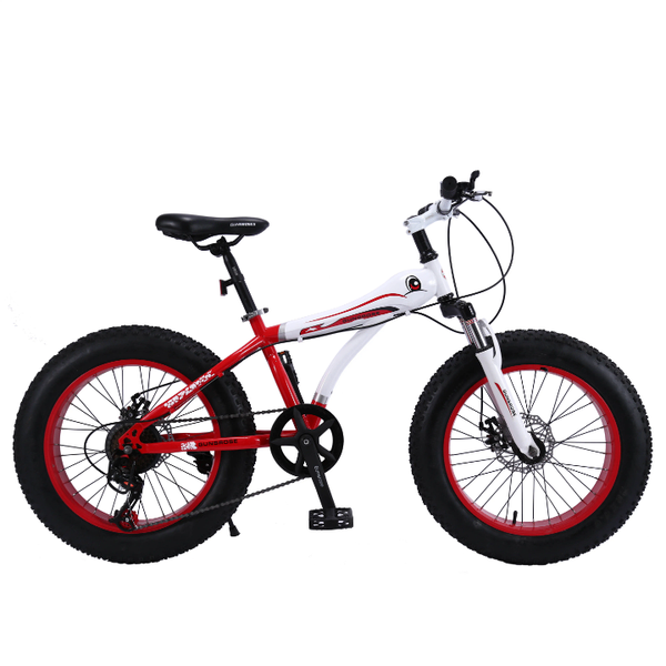 Vélo Fat Bike Enfant 20 Pouces