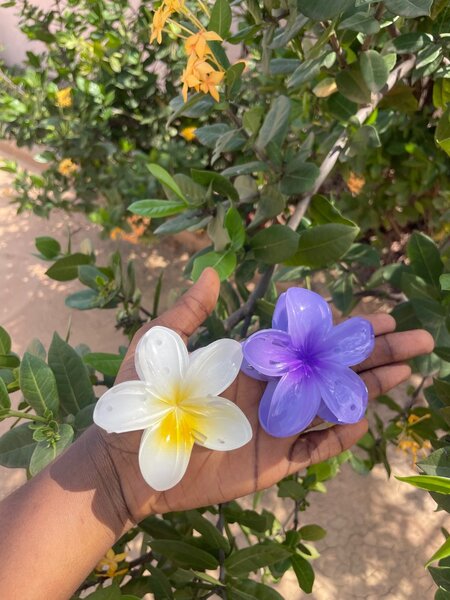 Flower hair clip