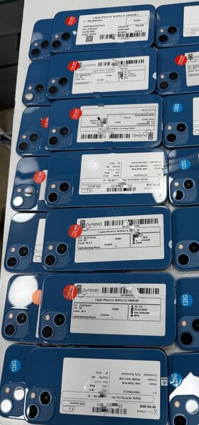 iPhone 13