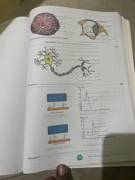 Cahier SVT Terminale