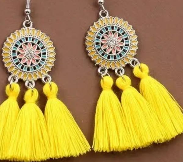 Earrings