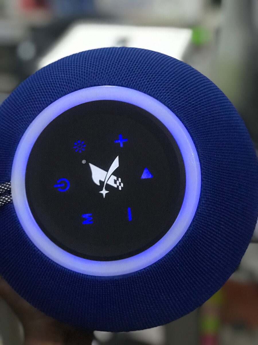 Portable speaker
