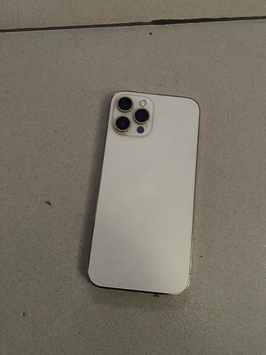 iPhone 12 Pro Max