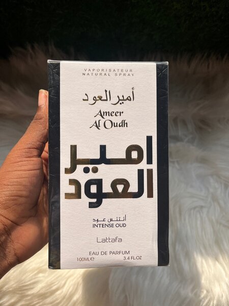 Ameer Al oudh