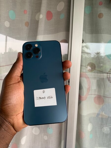 iPhone 12 Pro Max 256go 2puces