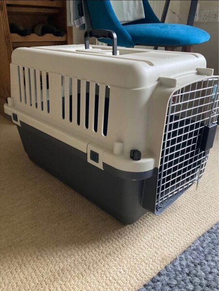 Pet Crate available