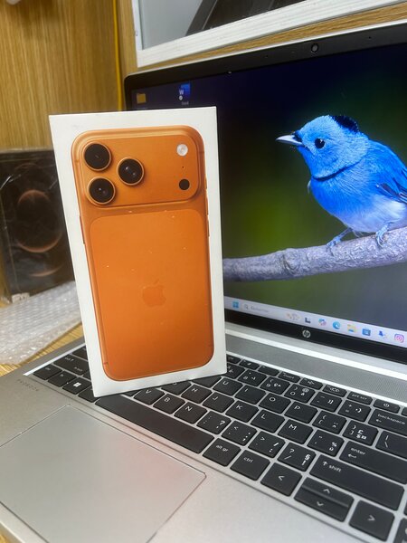 iPhone 17 Pro Max