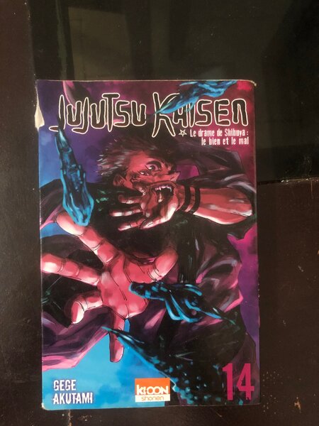 Jujutsu kaisen