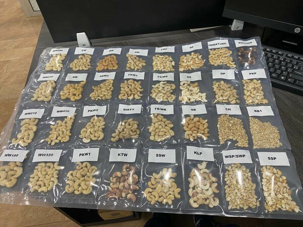Cashew nuts