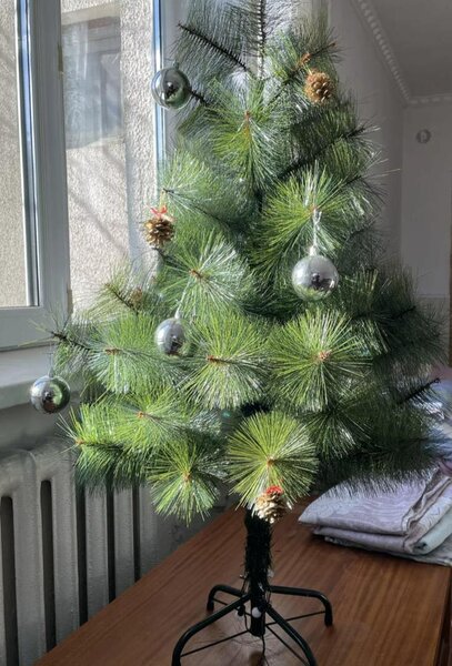 Ёлочка