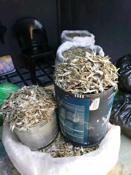Siavonga kapenta