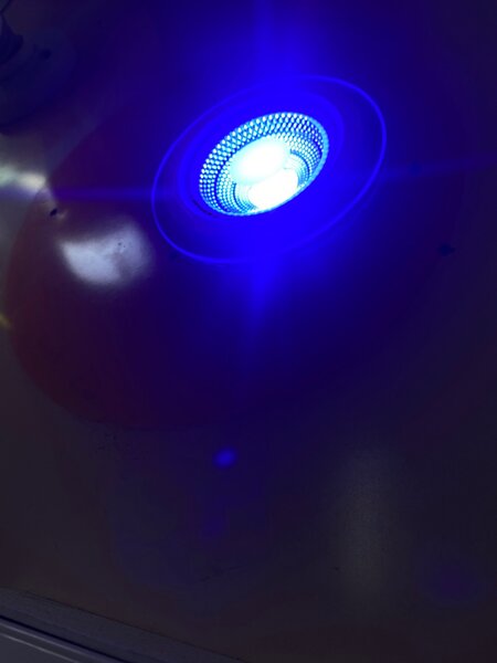 6watts spot light