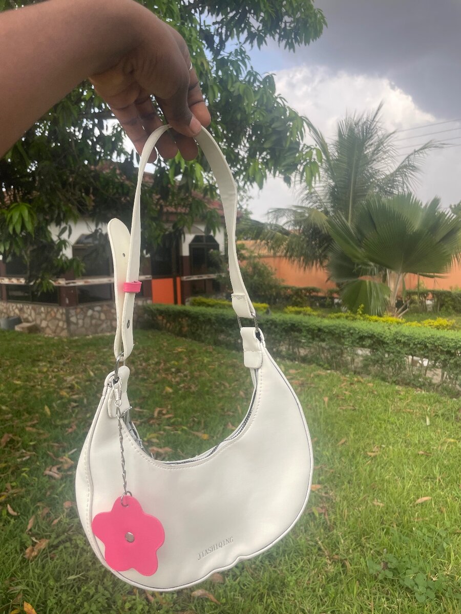 Ladies bag