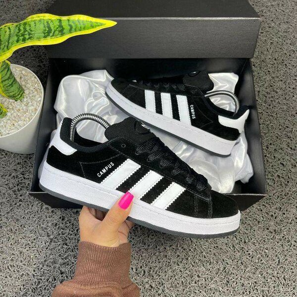 Paire campus 37-45