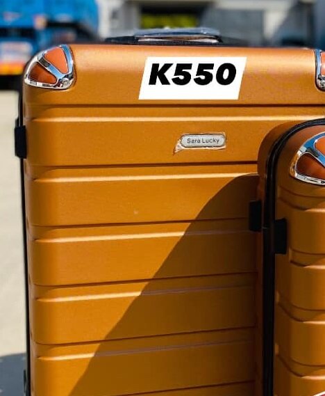 TRAVELING BAGS