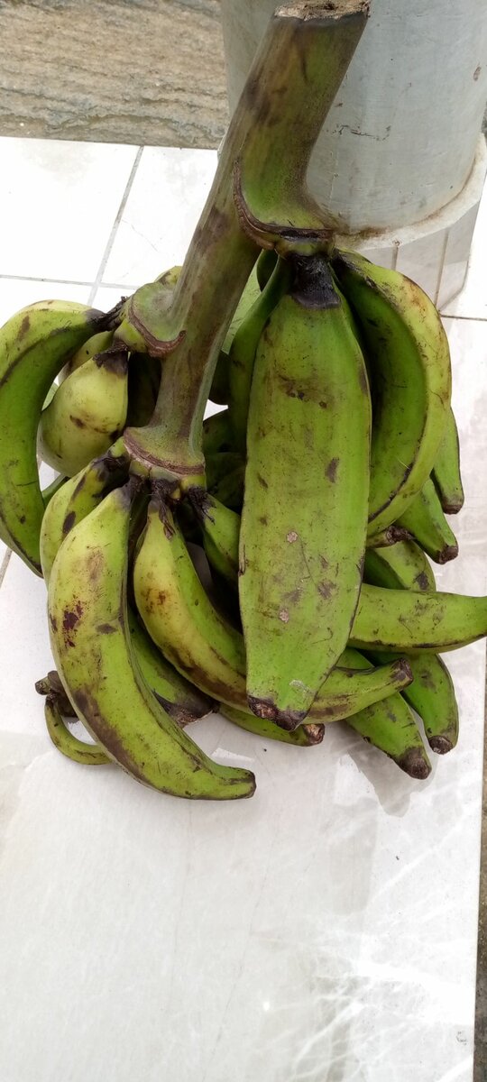 Nama market