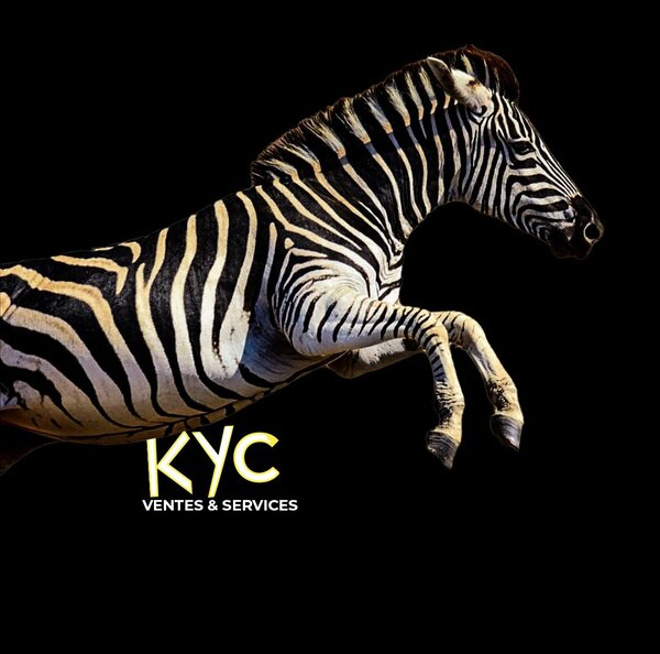 kyc services