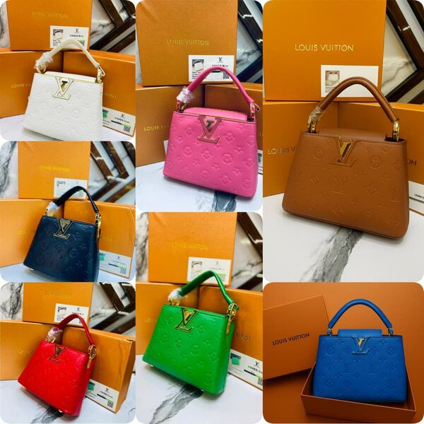 Sac Dame Louis Vuitton