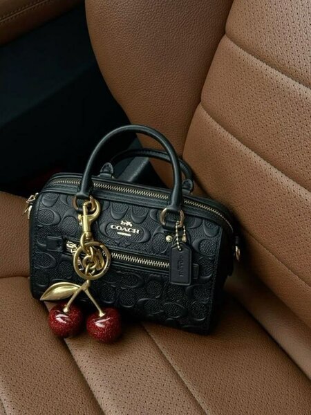 Ladies designer bag