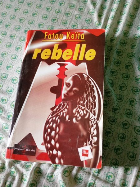 French Classic Literature Books