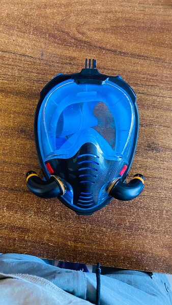 MASQUERADE MASK
