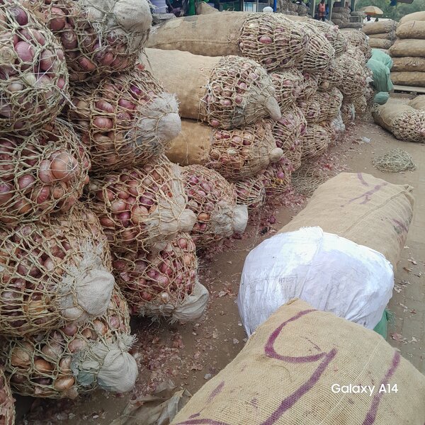 Onion