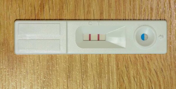 Pregnancy Test kit