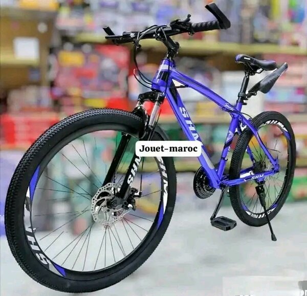 VTT Adulte SHIMANO 21 Vitesses