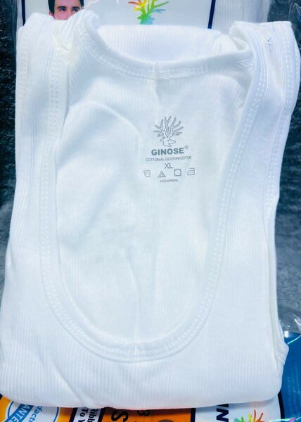 Ginos singlet