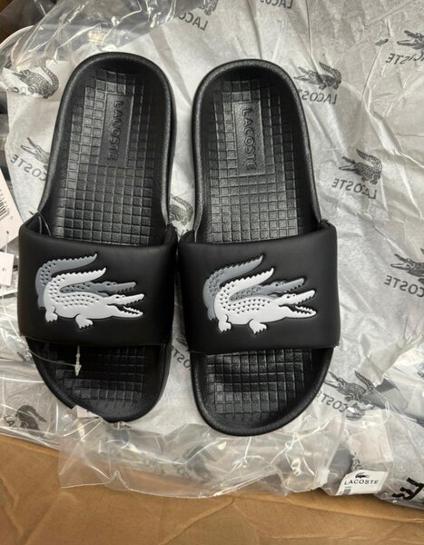 Lacoste homme