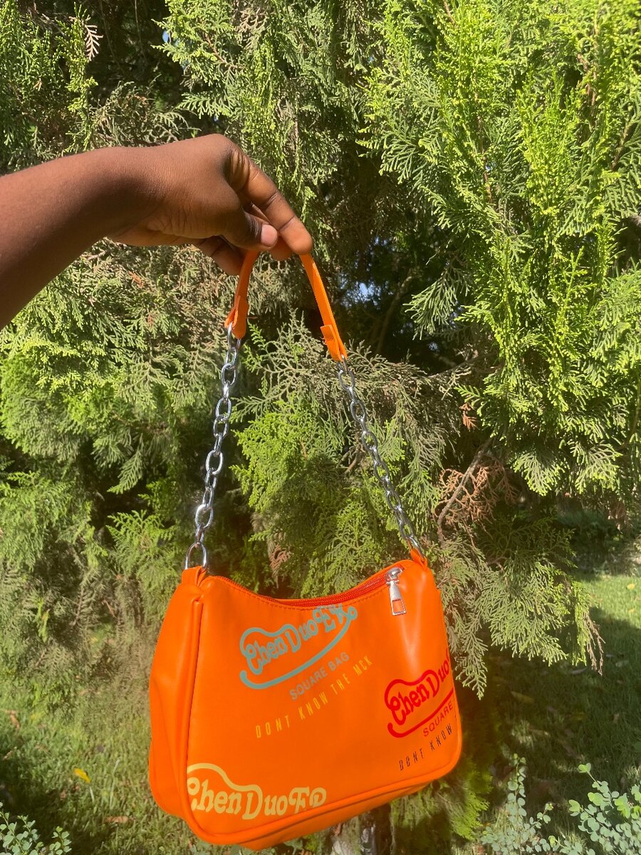 Ladies handbag