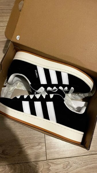 Adidas campus original