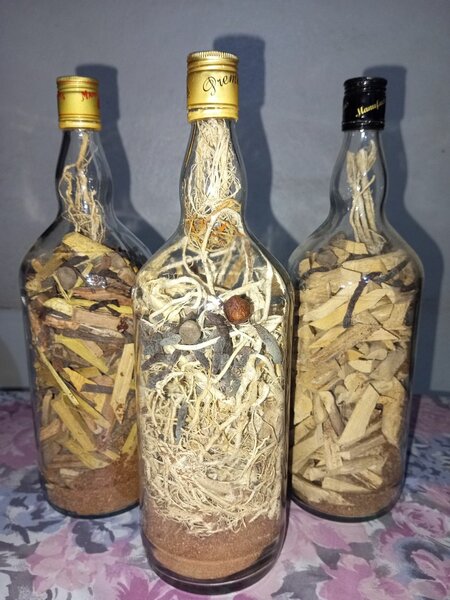 Racines BALTAZAR 3