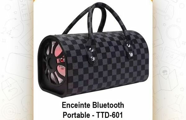 Enceinte Bluetooth portable TTD-601
