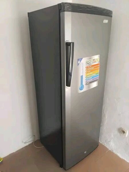 Congélateur vertical spacieux