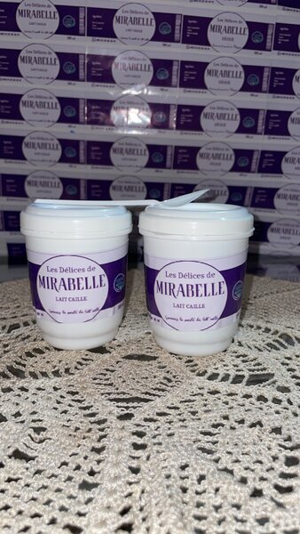 Lait caillé (2 pots)