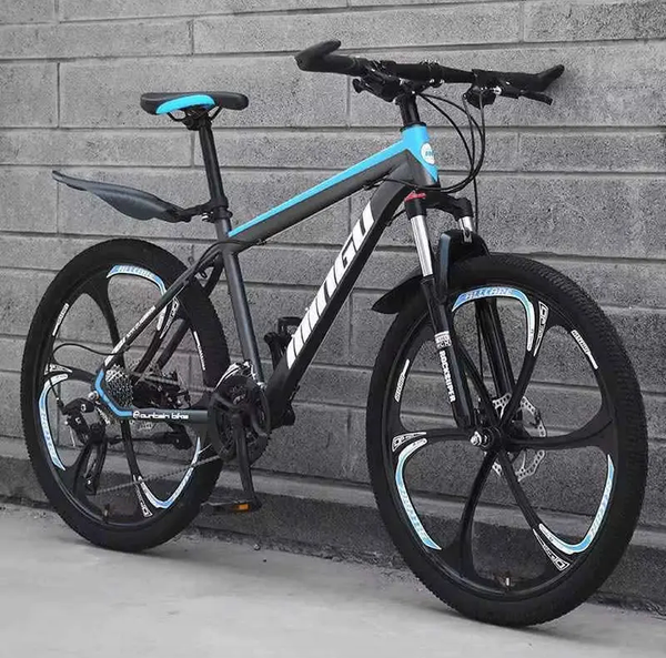 Vélo de montagne pliant MTB