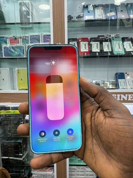 iPhone 13 Pro Max