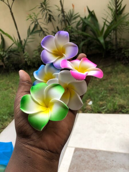 Pinces à cheveux