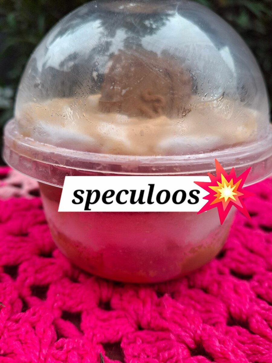 Desserts Gourmands en Verrines